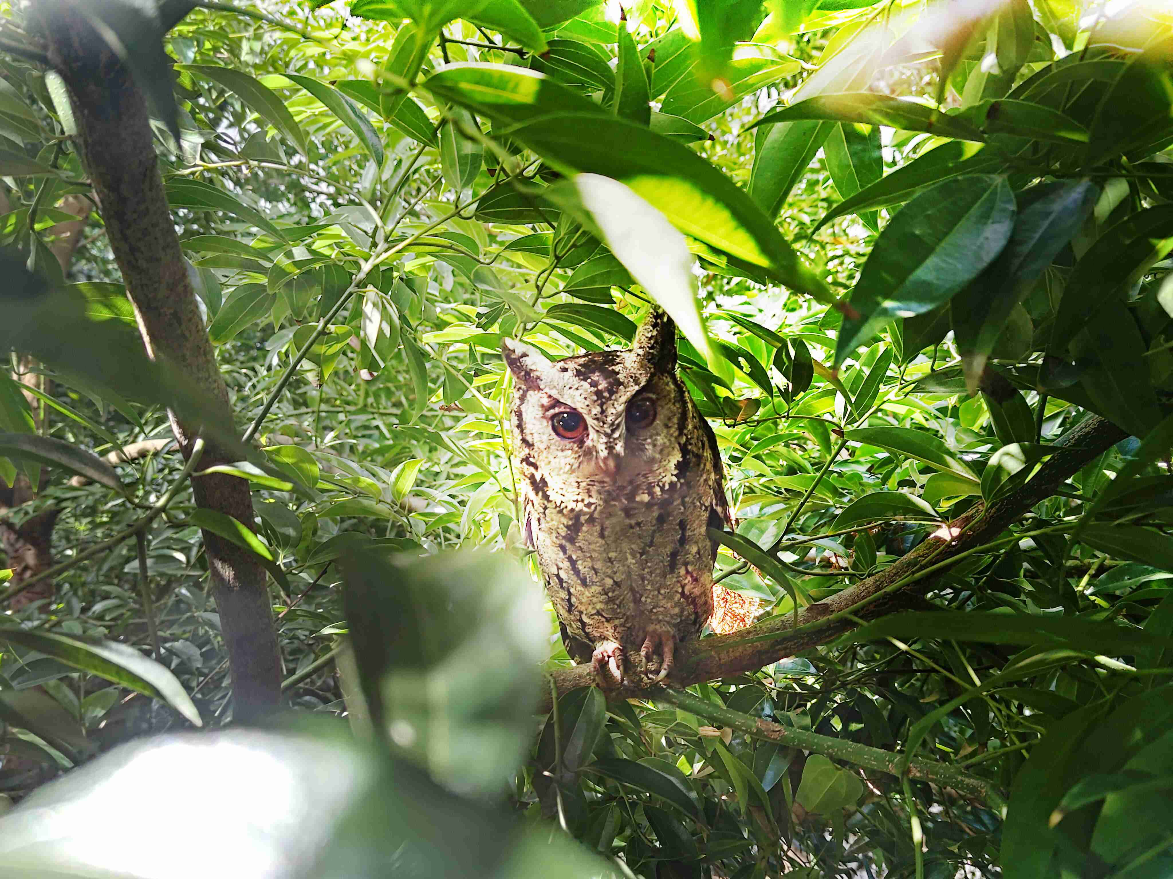 尊时凯龙致力提倡净零绿生活，，16年以来在全球各厂区植树逾百万棵，，，造就各厂区树木蔚然成林，，犹如森林工厂，，，，成为许多生物的栖息地